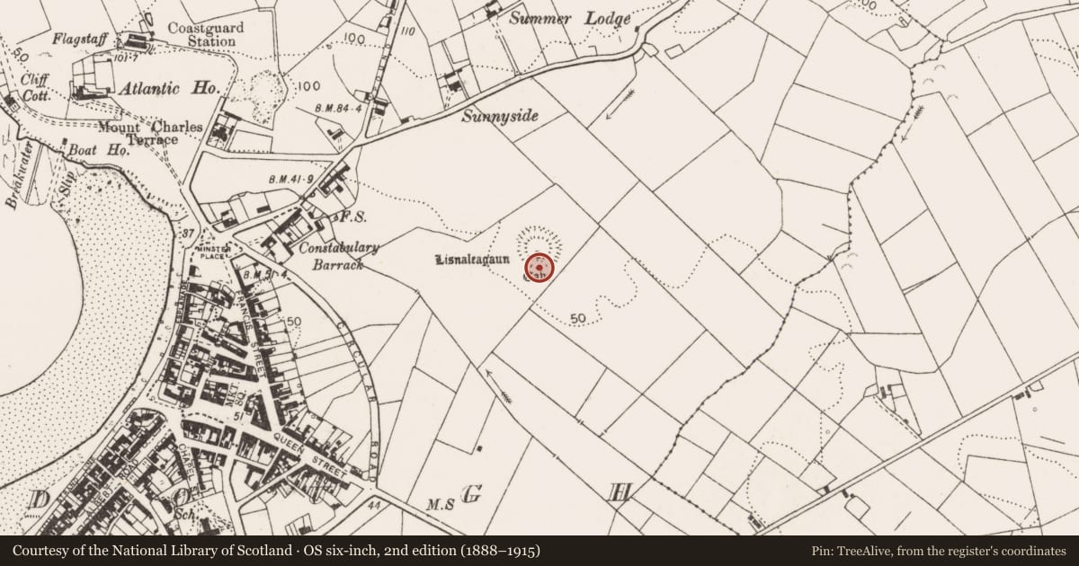 Ordnance Survey six-inch map, 2nd edition (1888–1915) covering the location of Souterrain, Dough, County Clare, with a pin at the register's coordinates