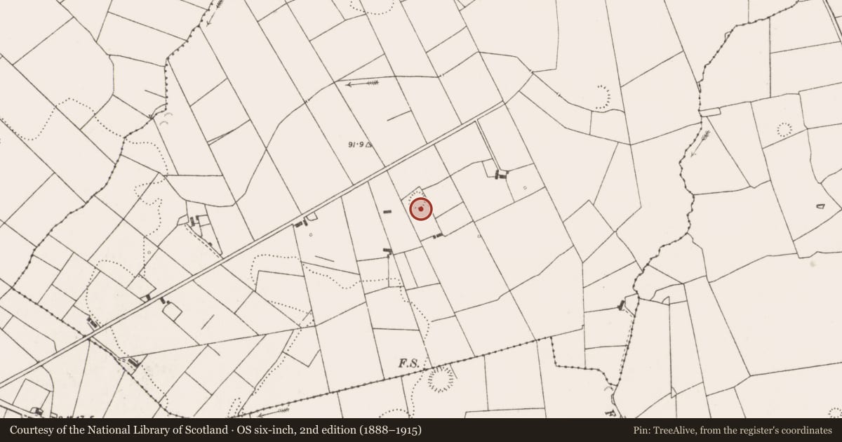 Ordnance Survey six-inch map, 2nd edition (1888–1915) covering the location of Ringfort - rath, Lisluinaghan, County Clare, with a pin at the register's coordinates