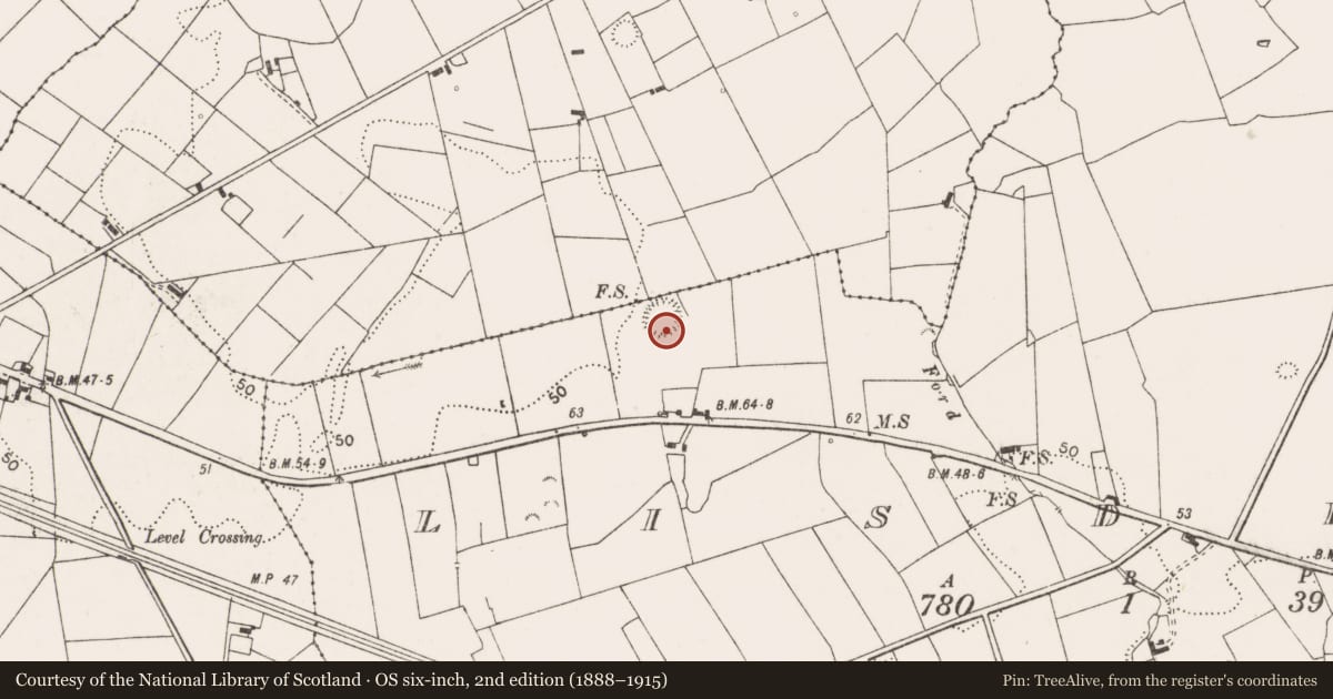 Ordnance Survey six-inch map, 2nd edition (1888–1915) covering the location of Ringfort - rath, Lisdeen, County Clare, with a pin at the register's coordinates