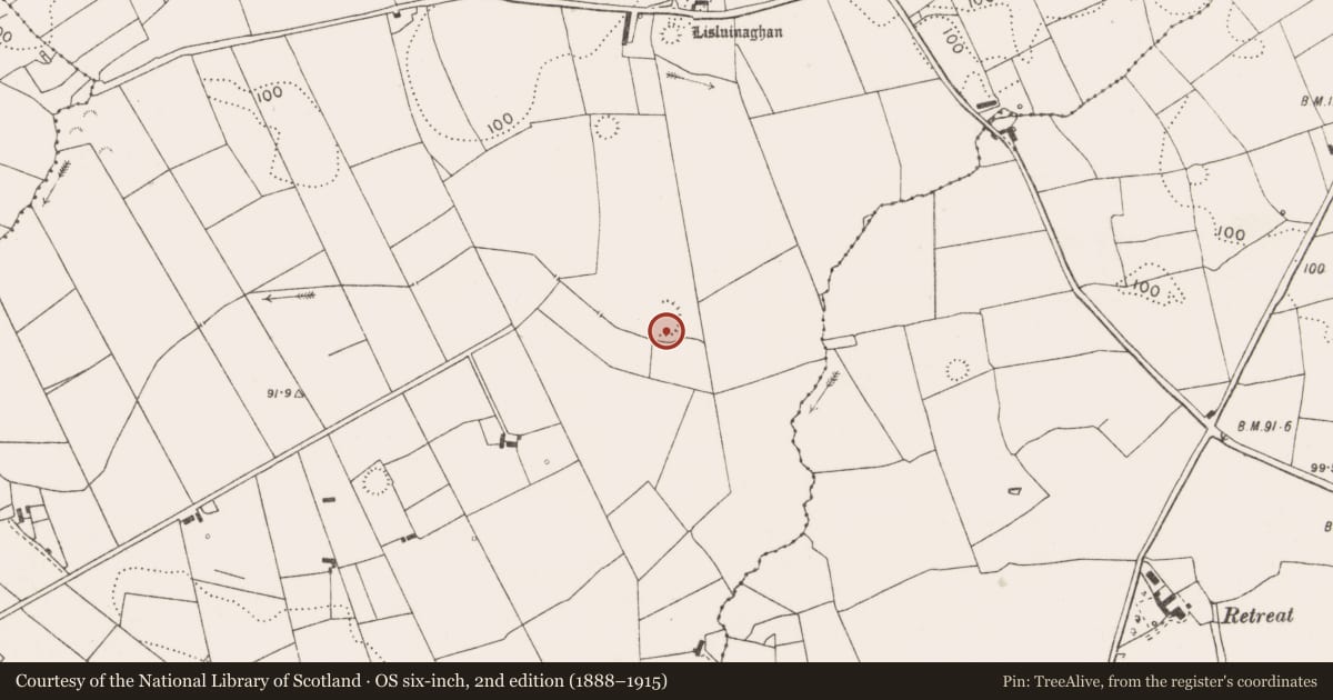 Ordnance Survey six-inch map, 2nd edition (1888–1915) covering the location of Ringfort - rath, Lisluinaghan, County Clare, with a pin at the register's coordinates