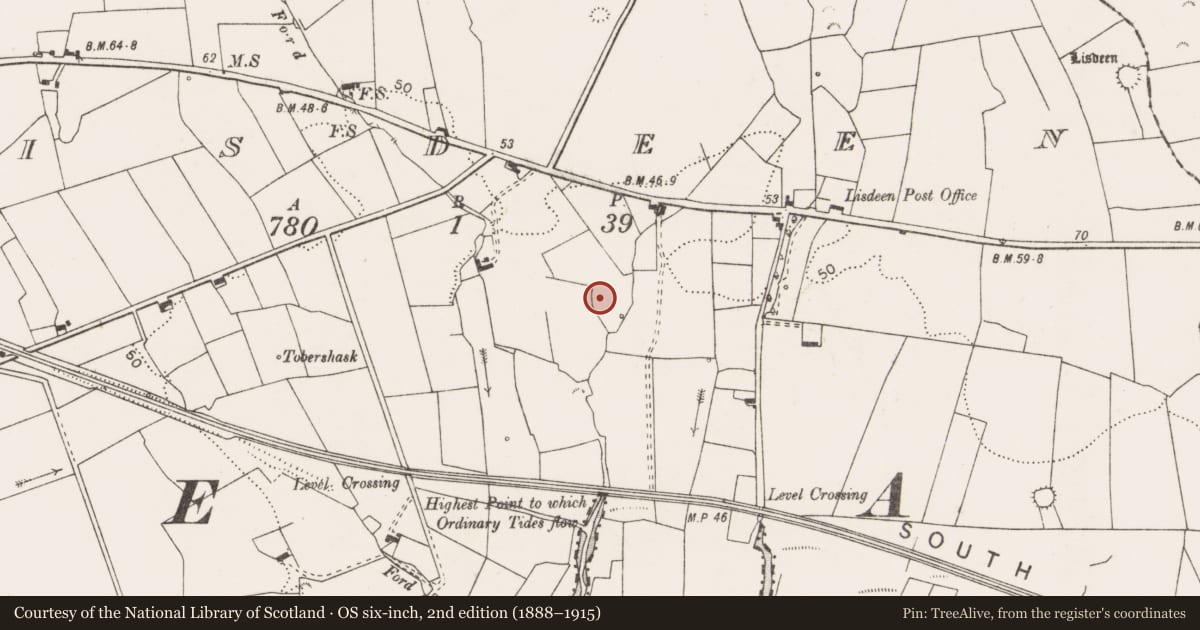 Ordnance Survey six-inch map, 2nd edition (1888–1915) covering the location of Ringfort - rath, Lisdeen, County Clare, with a pin at the register's coordinates
