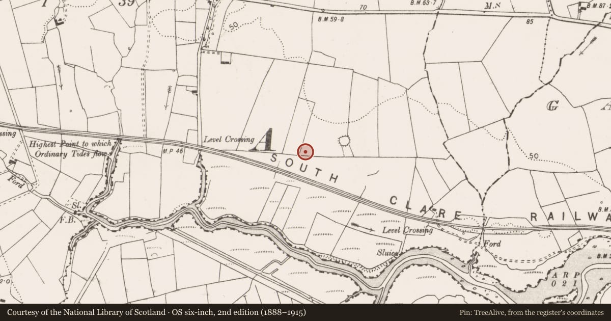 Ordnance Survey six-inch map, 2nd edition (1888–1915) covering the location of Ringfort - rath, Lisdeen, County Clare, with a pin at the register's coordinates