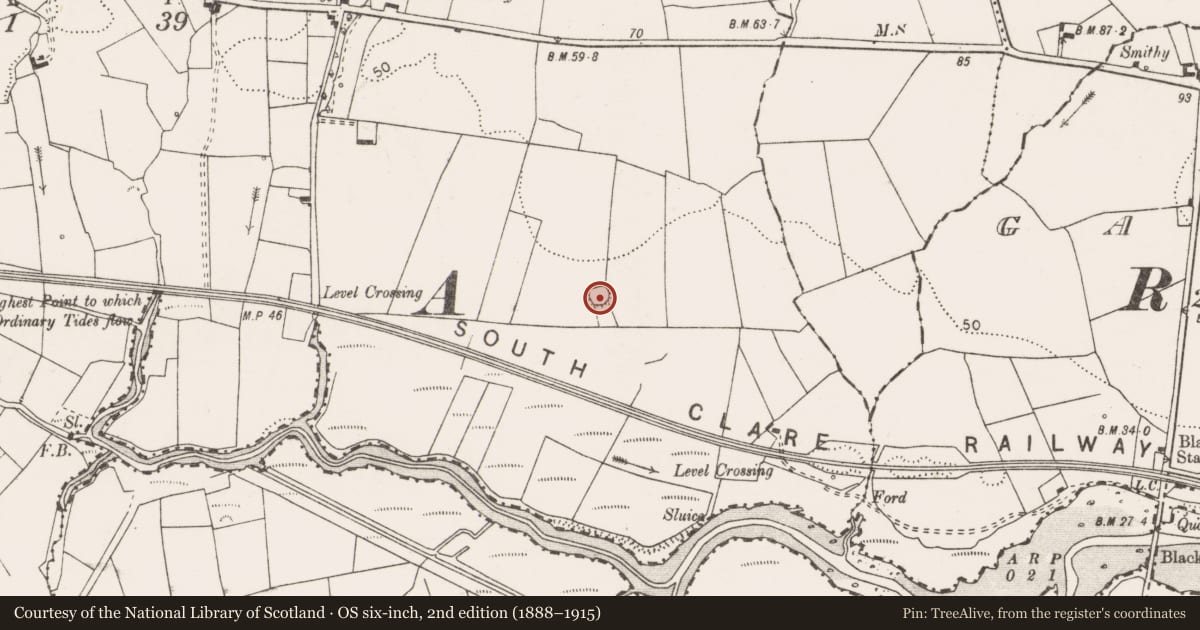 Ordnance Survey six-inch map, 2nd edition (1888–1915) covering the location of Ringfort - rath, Lisdeen, County Clare, with a pin at the register's coordinates