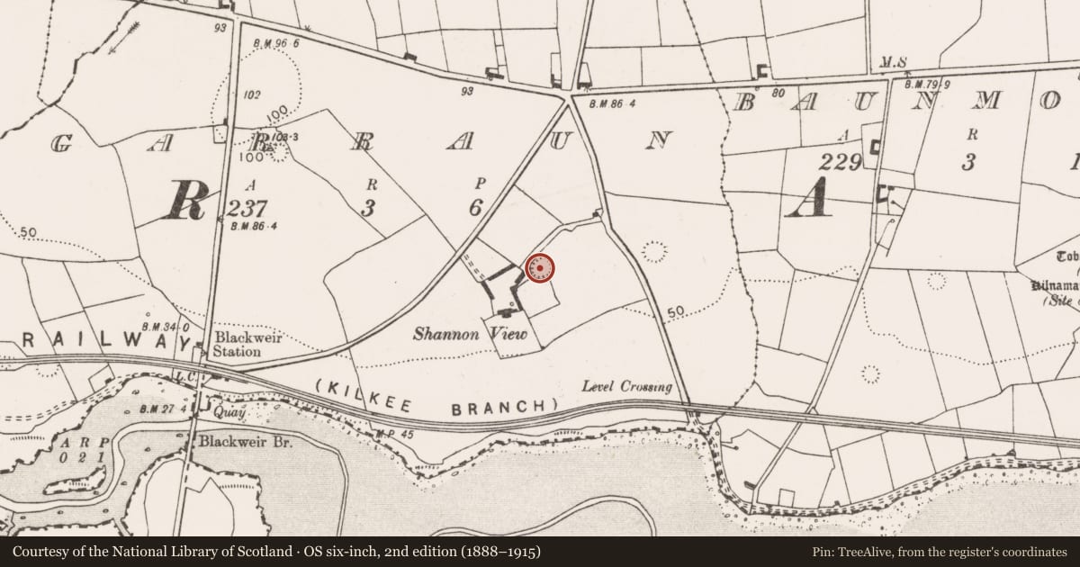 Ordnance Survey six-inch map, 2nd edition (1888–1915) covering the location of Ringfort - rath, Garraun, County Clare, with a pin at the register's coordinates