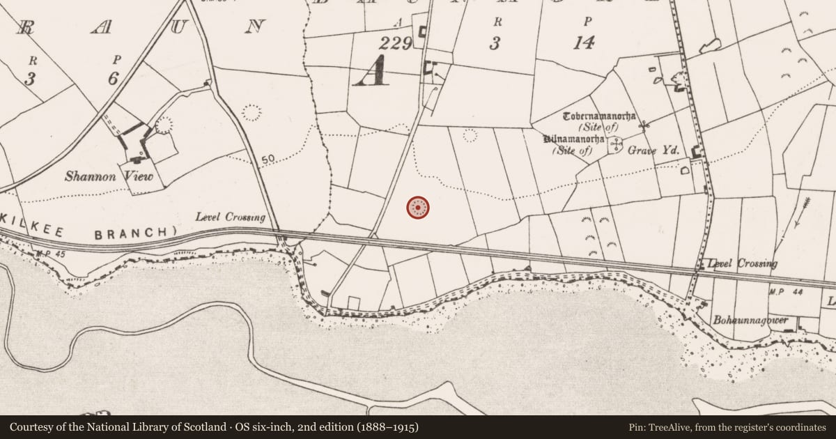 Ordnance Survey six-inch map, 2nd edition (1888–1915) covering the location of Ringfort - rath, Baunmore, County Clare, with a pin at the register's coordinates