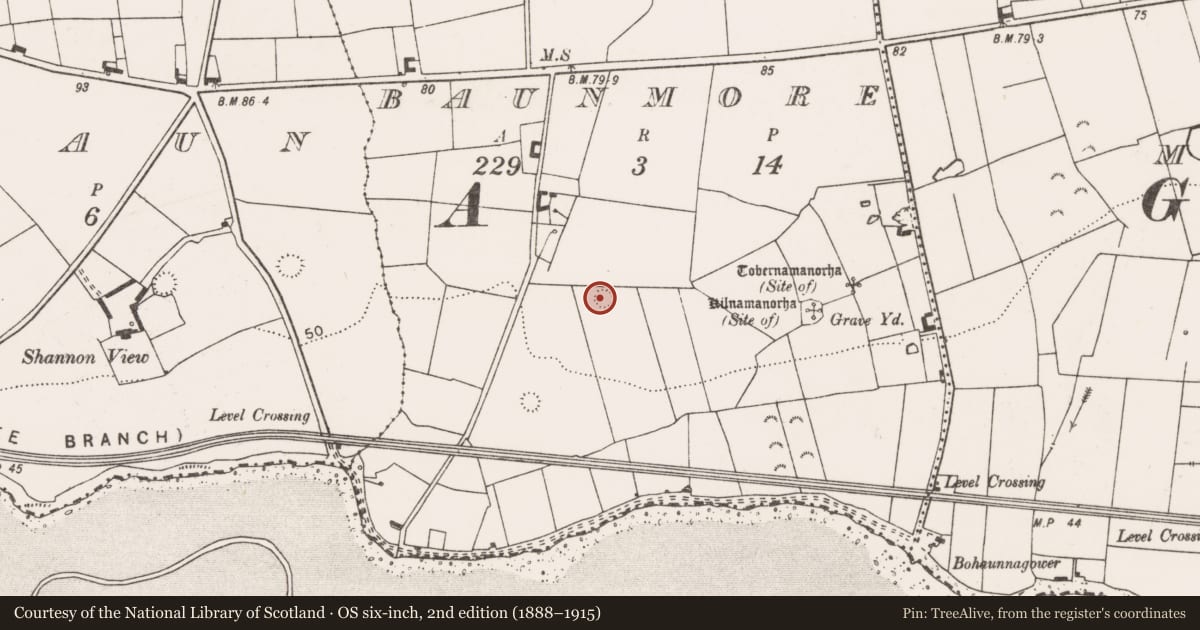 Ordnance Survey six-inch map, 2nd edition (1888–1915) covering the location of Ringfort - rath, Baunmore, County Clare, with a pin at the register's coordinates