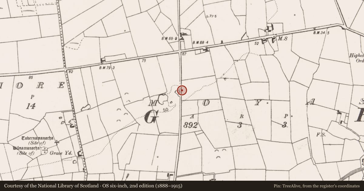 Ordnance Survey six-inch map, 2nd edition (1888–1915) covering the location of Ringfort - rath, Moyasta, County Clare, with a pin at the register's coordinates