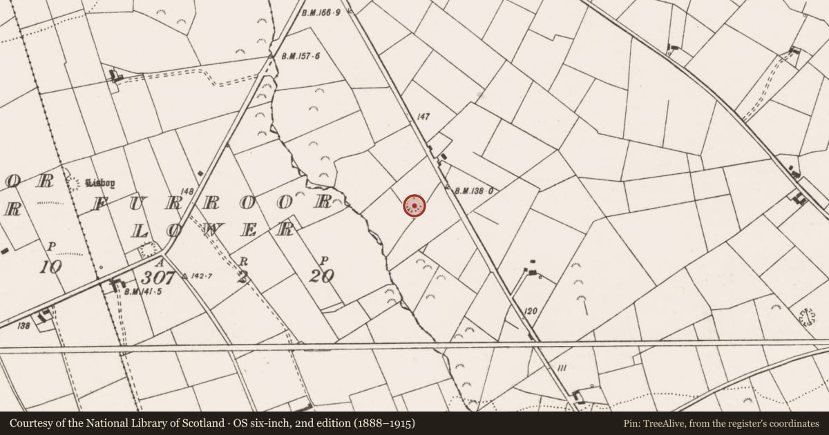 Ordnance Survey six-inch map, 2nd edition (1888–1915) covering the location of Ringfort - rath, Kilfearagh, County Clare, with a pin at the register's coordinates