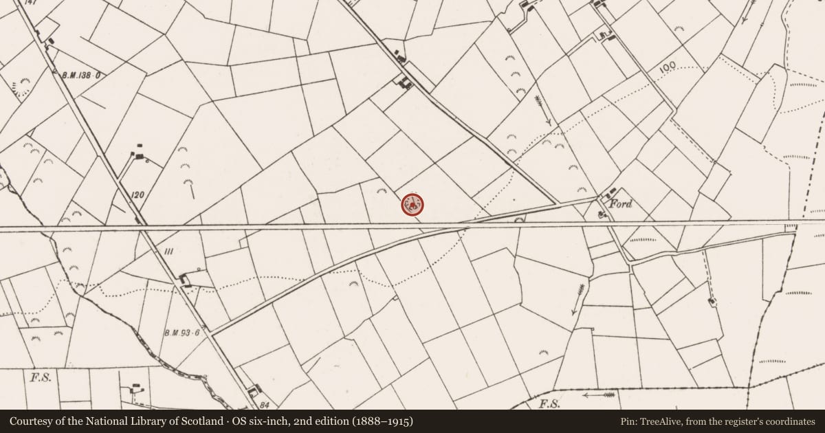 Ordnance Survey six-inch map, 2nd edition (1888–1915) covering the location of Ringfort - rath, Kilfearagh, County Clare, with a pin at the register's coordinates