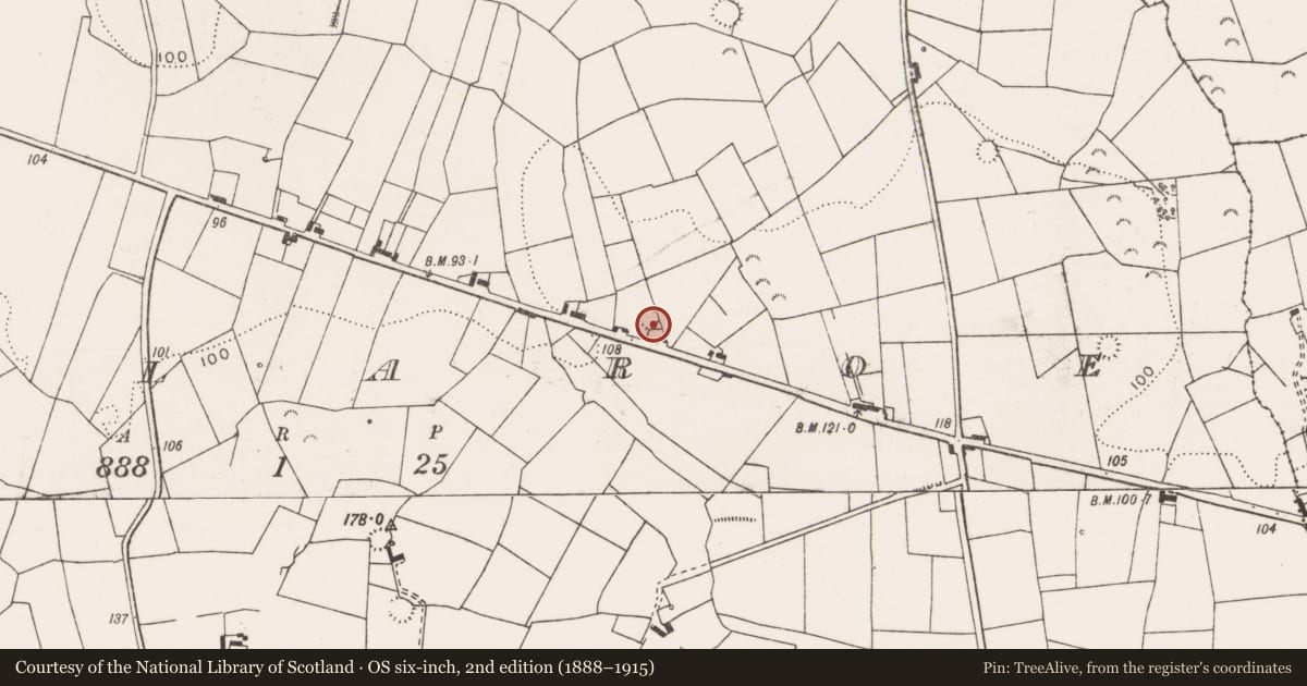 Ordnance Survey six-inch map, 2nd edition (1888–1915) covering the location of Ringfort - rath, Tullaroe, County Clare, with a pin at the register's coordinates