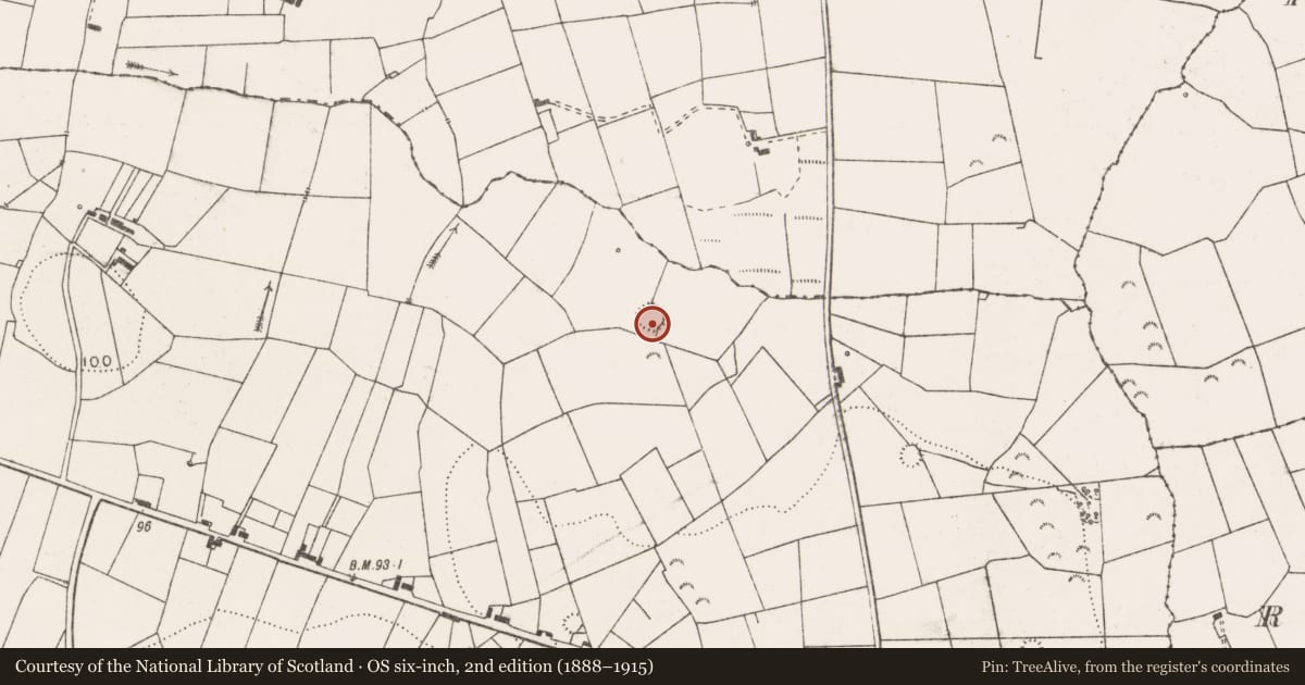 Ordnance Survey six-inch map, 2nd edition (1888–1915) covering the location of Ringfort - rath, Tullaroe, County Clare, with a pin at the register's coordinates