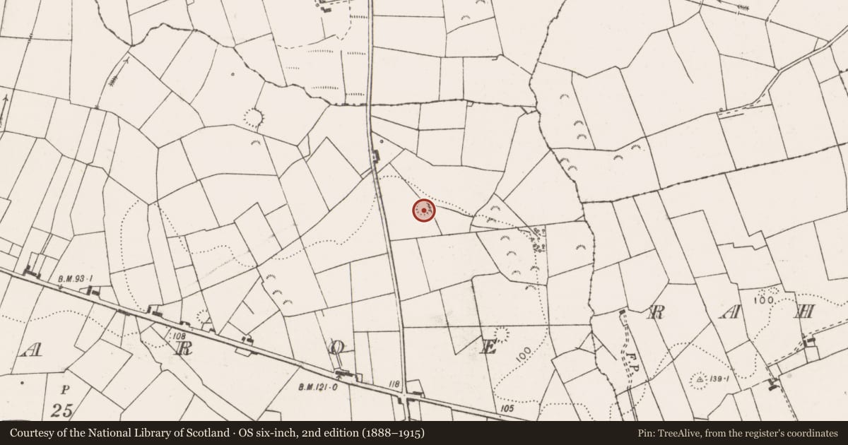 Ordnance Survey six-inch map, 2nd edition (1888–1915) covering the location of Ringfort - rath, Tullaroe, County Clare, with a pin at the register's coordinates