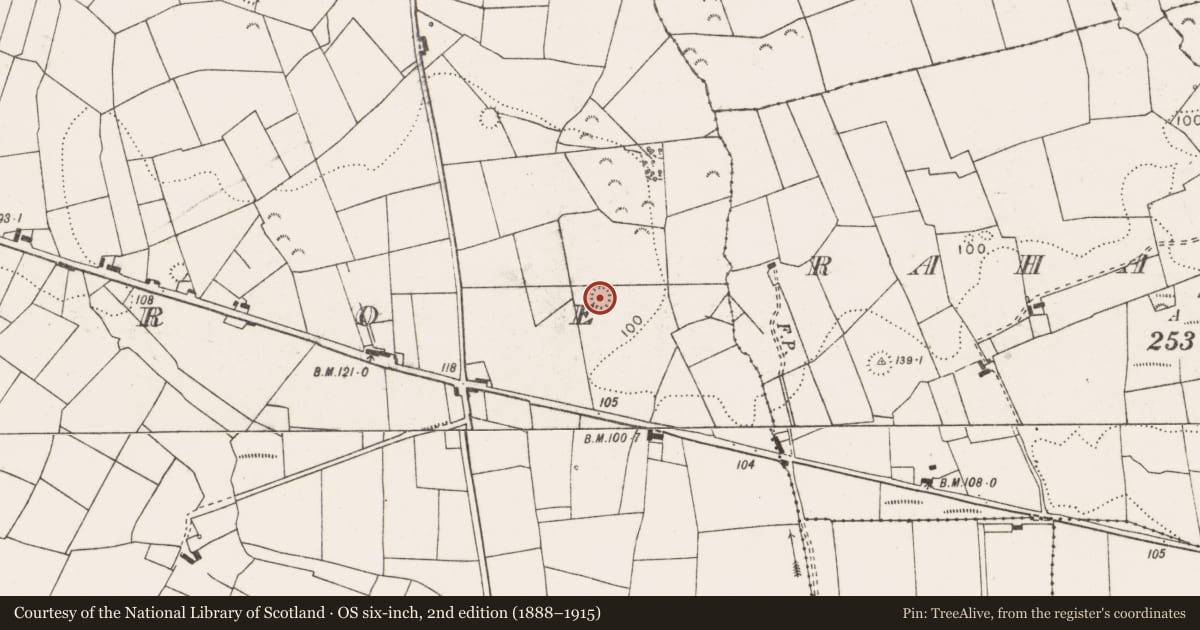 Ordnance Survey six-inch map, 2nd edition (1888–1915) covering the location of Ringfort - rath, Tullaroe, County Clare, with a pin at the register's coordinates