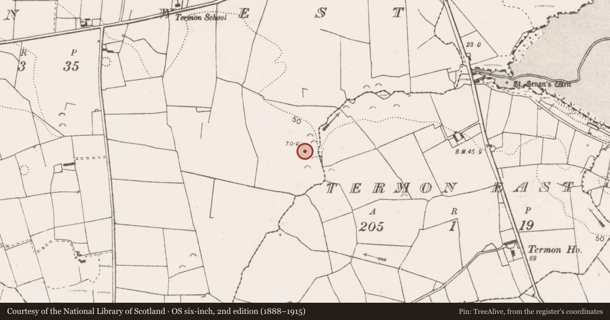 Ordnance Survey six-inch map, 2nd edition (1888–1915) covering the location of Ringfort - rath, Termon West, County Clare, with a pin at the register's coordinates