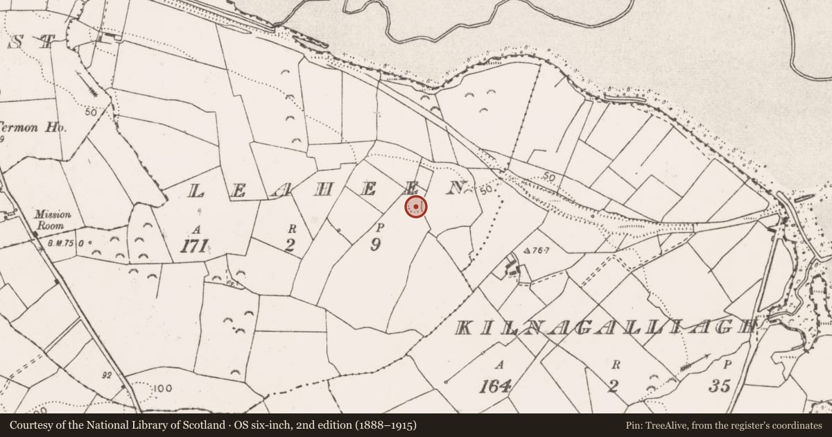 Ordnance Survey six-inch map, 2nd edition (1888–1915) covering the location of Ringfort - rath, Leaheen, County Clare, with a pin at the register's coordinates