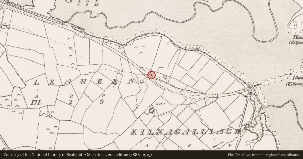 Ordnance Survey six-inch map, 2nd edition (1888–1915) covering the location of Ringfort - rath, Kilnagalliagh, County Clare, with a pin at the register's coordinates