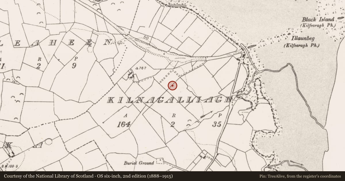 Ordnance Survey six-inch map, 2nd edition (1888–1915) covering the location of Ringfort - rath, Kilnagalliagh, County Clare, with a pin at the register's coordinates