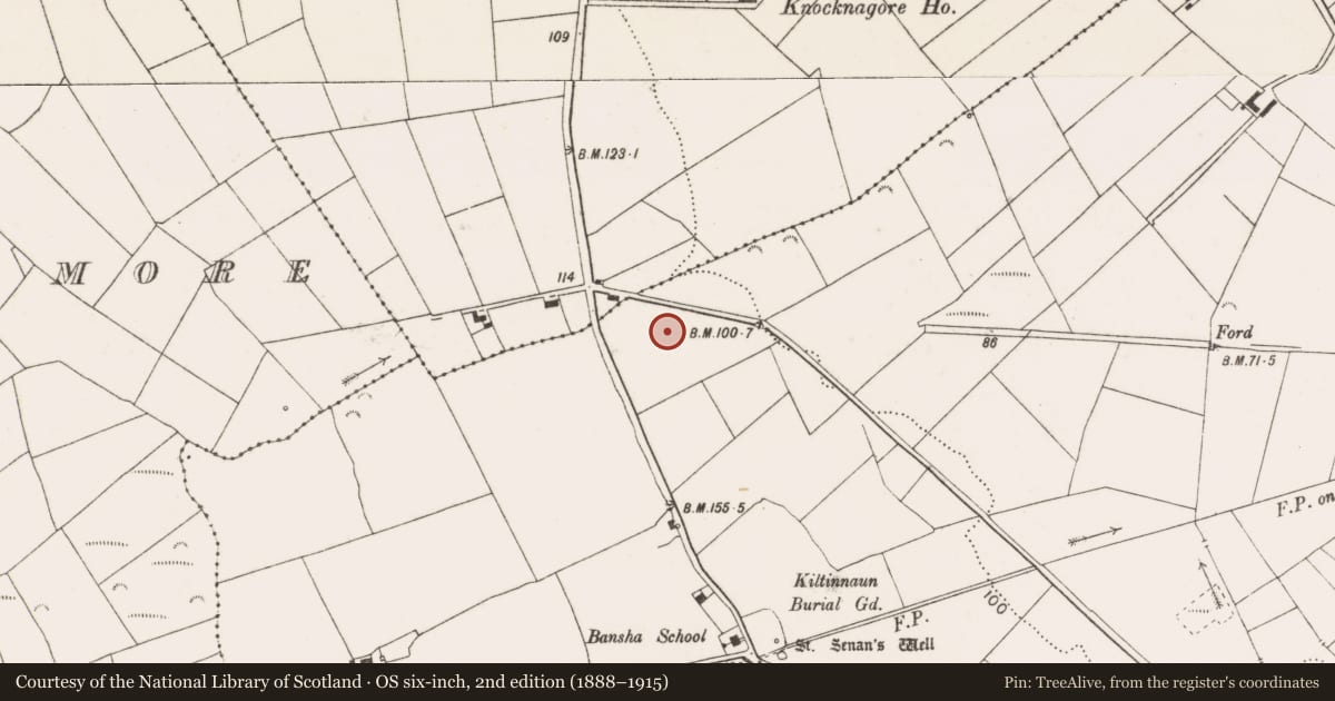Ordnance Survey six-inch map, 2nd edition (1888–1915) covering the location of Ringfort - rath, Tullaher, County Clare, with a pin at the register's coordinates