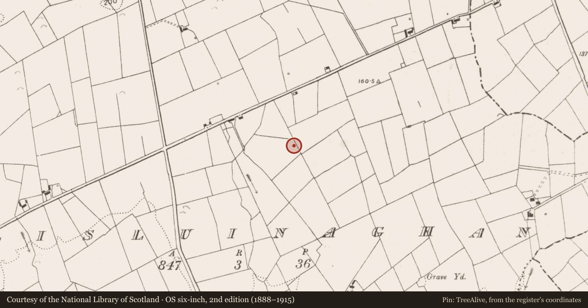 Ordnance Survey six-inch map, 2nd edition (1888–1915) covering the location of Earthwork, Lisluinaghan, County Clare, with a pin at the register's coordinates