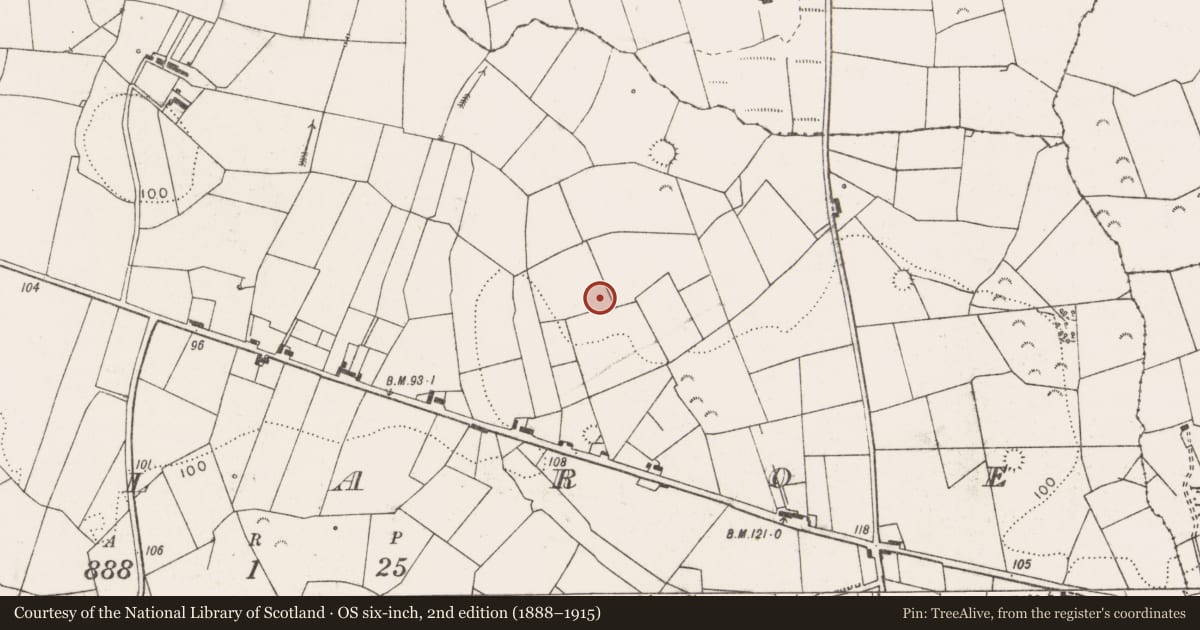 Ordnance Survey six-inch map, 2nd edition (1888–1915) covering the location of Ringfort - rath, Tullaroe, County Clare, with a pin at the register's coordinates