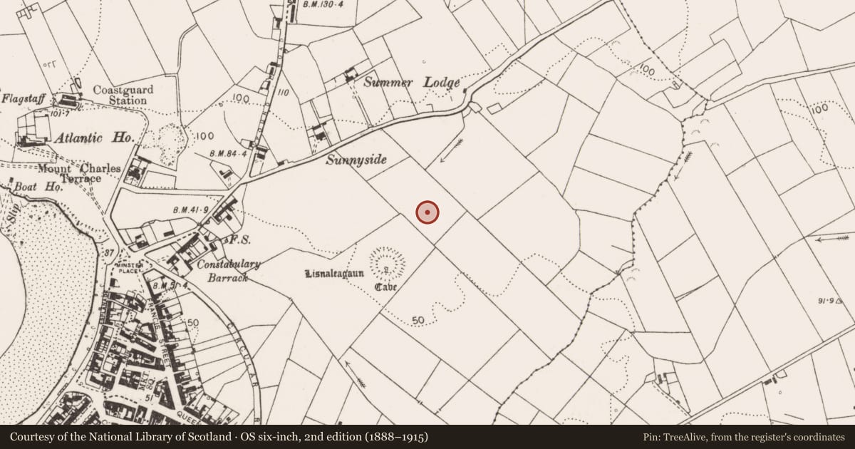 Ordnance Survey six-inch map, 2nd edition (1888–1915) covering the location of Standing stone, Dough, County Clare, with a pin at the register's coordinates