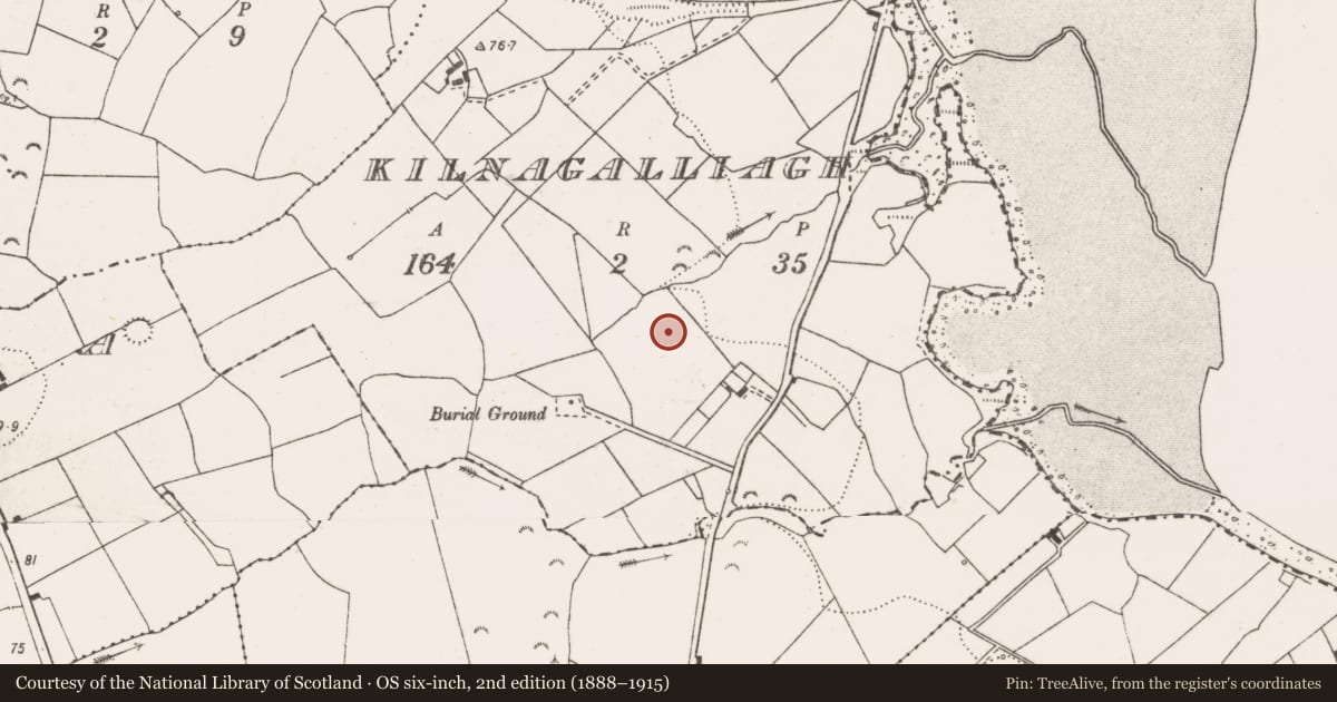 Ordnance Survey six-inch map, 2nd edition (1888–1915) covering the location of Cairn - unclassified, Kilnagalliagh, County Clare, with a pin at the register's coordinates