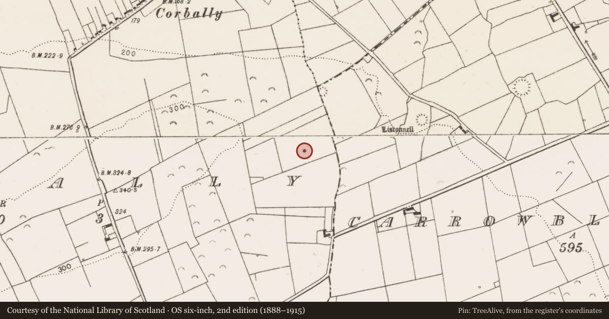 Ordnance Survey six-inch map, 2nd edition (1888–1915) covering the location of Enclosure, Corbally, County Clare, with a pin at the register's coordinates