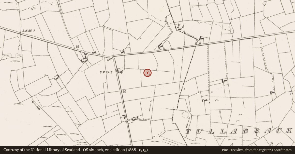 Ordnance Survey six-inch map, 2nd edition (1888–1915) covering the location of Ringfort - rath, Tullabrack, County Clare, with a pin at the register's coordinates
