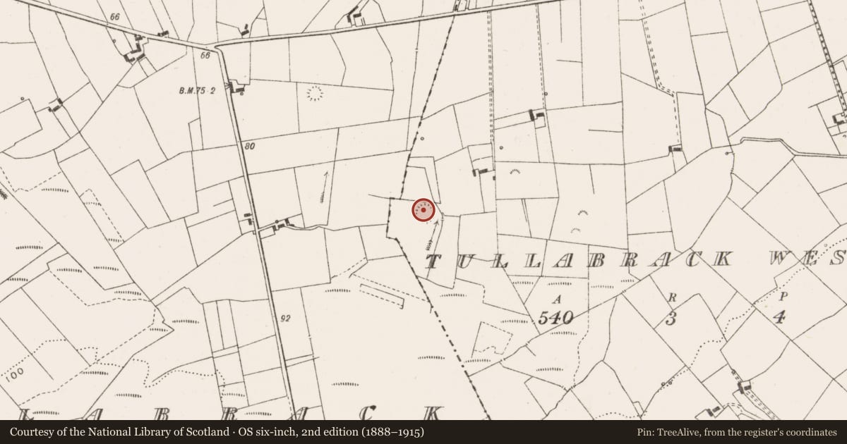 Ordnance Survey six-inch map, 2nd edition (1888–1915) covering the location of Enclosure, Tullabrack West, County Clare, with a pin at the register's coordinates