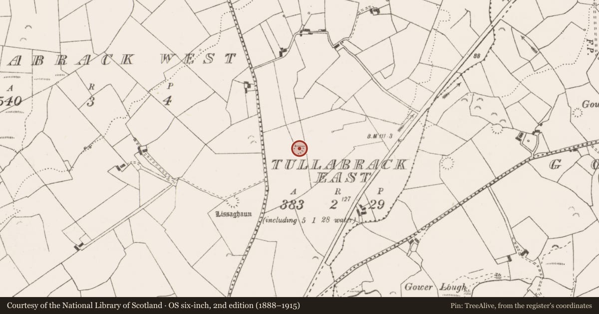 Ordnance Survey six-inch map, 2nd edition (1888–1915) covering the location of Ringfort - rath, Tullabrack East, County Clare, with a pin at the register's coordinates