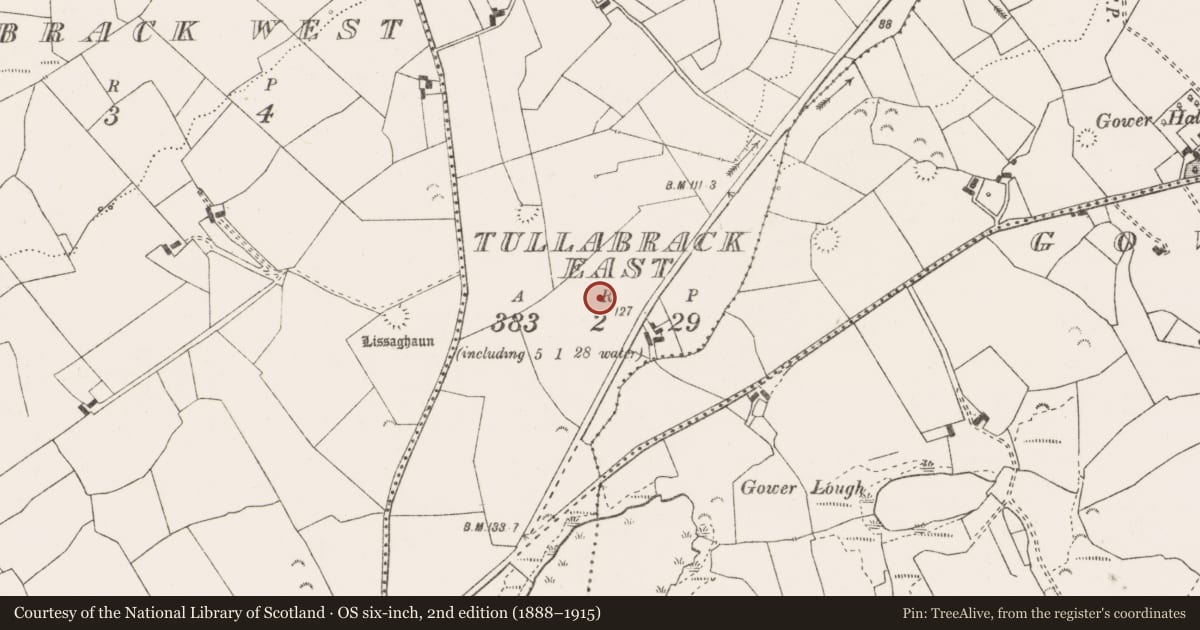 Ordnance Survey six-inch map, 2nd edition (1888–1915) covering the location of Enclosure, Tullabrack East, County Clare, with a pin at the register's coordinates
