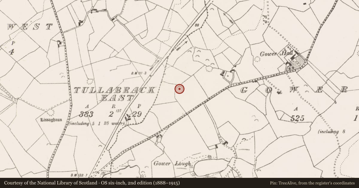 Ordnance Survey six-inch map, 2nd edition (1888–1915) covering the location of Ringfort - rath, Gower North, County Clare, with a pin at the register's coordinates
