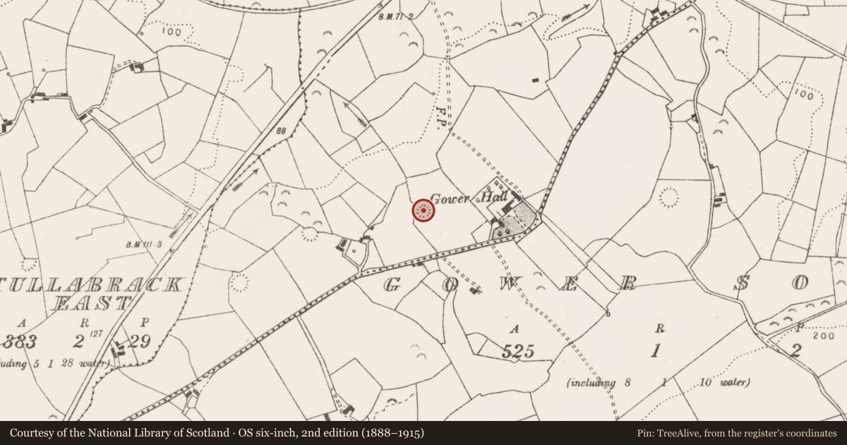 Ordnance Survey six-inch map, 2nd edition (1888–1915) covering the location of Ringfort - rath, Gower North, County Clare, with a pin at the register's coordinates