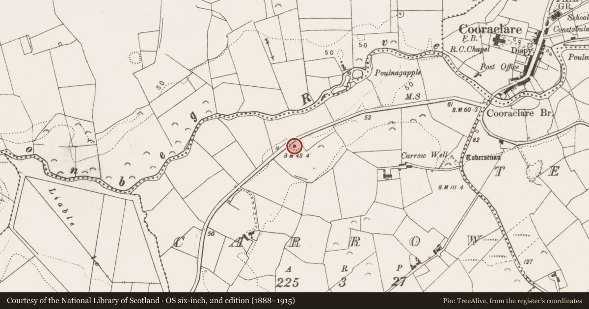 Ordnance Survey six-inch map, 2nd edition (1888–1915) covering the location of Enclosure, Carrow, County Clare, with a pin at the register's coordinates
