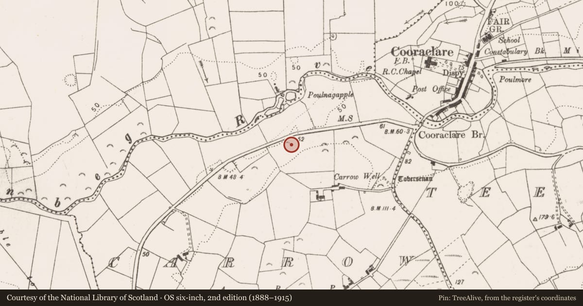 Ordnance Survey six-inch map, 2nd edition (1888–1915) covering the location of Quarry, Carrow, County Clare, with a pin at the register's coordinates