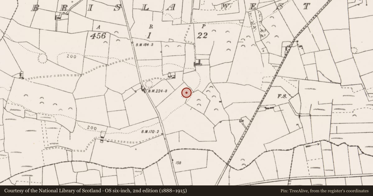 Ordnance Survey six-inch map, 2nd edition (1888–1915) covering the location of Ringfort - rath, Brisla West, County Clare, with a pin at the register's coordinates