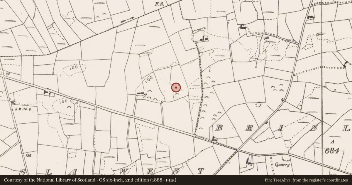Ordnance Survey six-inch map, 2nd edition (1888–1915) covering the location of Ringfort - rath, Brisla West, County Clare, with a pin at the register's coordinates