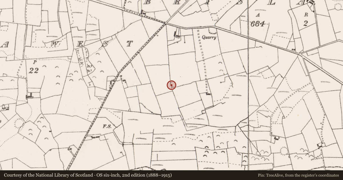 Ordnance Survey six-inch map, 2nd edition (1888–1915) covering the location of Ringfort - rath, Brisla East, County Clare, with a pin at the register's coordinates
