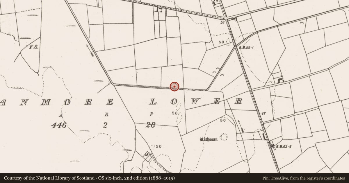 Ordnance Survey six-inch map, 2nd edition (1888–1915) covering the location of Enclosure, Moanmore Lower, County Clare, with a pin at the register's coordinates