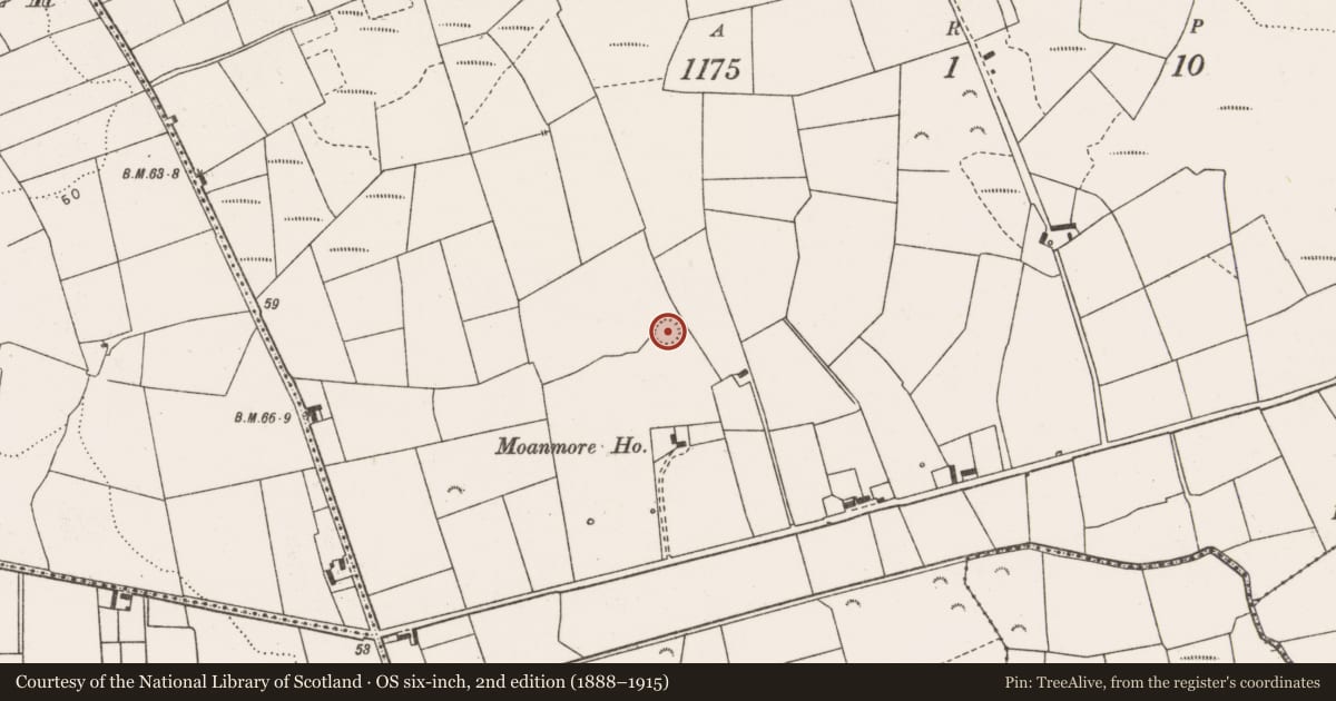Ordnance Survey six-inch map, 2nd edition (1888–1915) covering the location of Ringfort - rath, Moanmore South, County Clare, with a pin at the register's coordinates