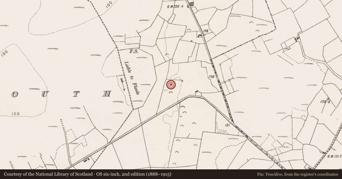 Ordnance Survey six-inch map, 2nd edition (1888–1915) covering the location of Ringfort - rath, Tullabrack, County Clare, with a pin at the register's coordinates