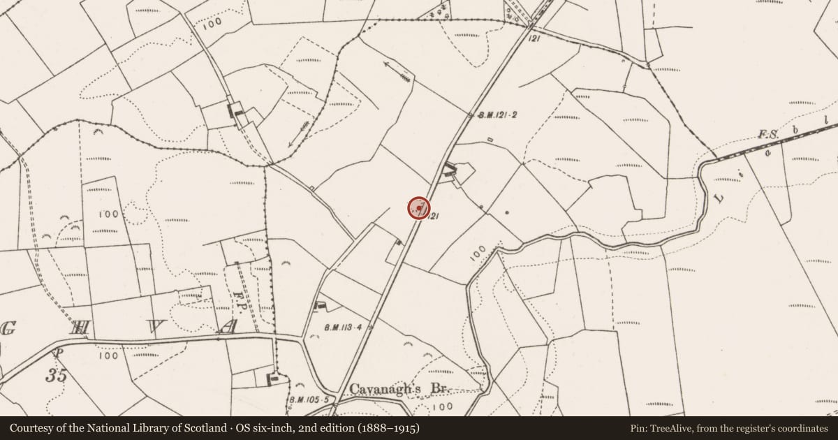 Ordnance Survey six-inch map, 2nd edition (1888–1915) covering the location of Ringfort - rath, Ballykett, County Clare, with a pin at the register's coordinates