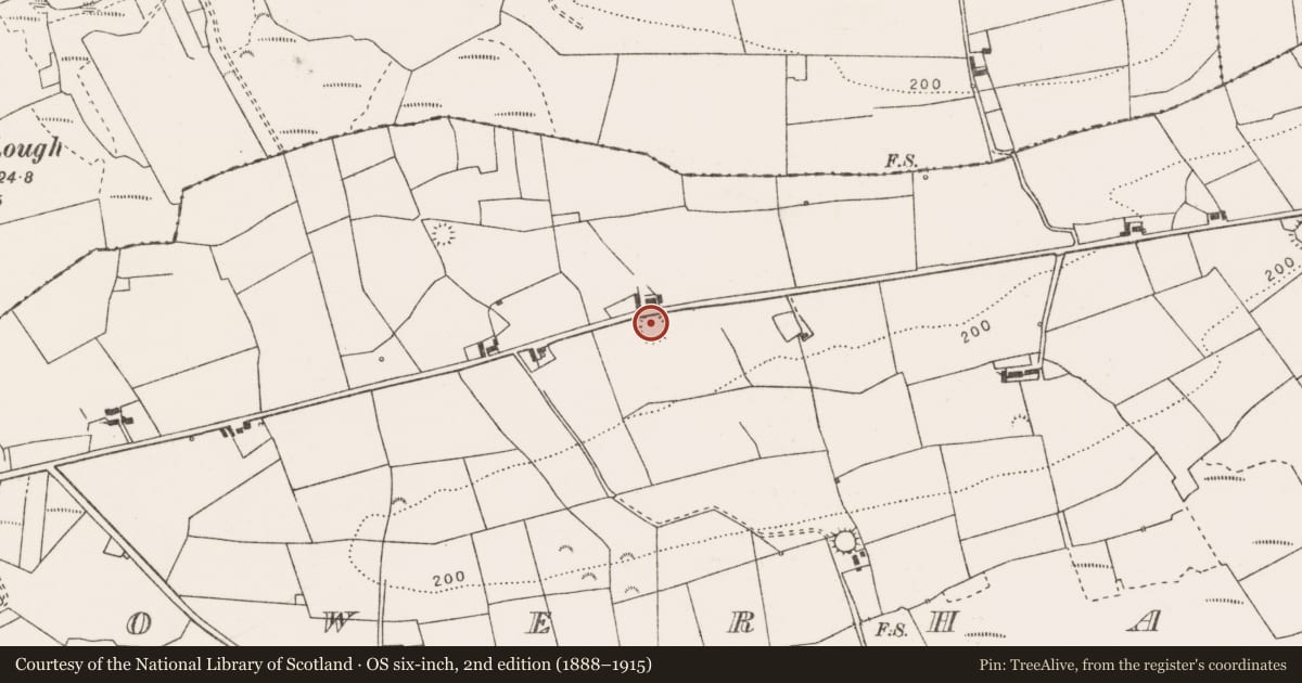 Ordnance Survey six-inch map, 2nd edition (1888–1915) covering the location of Ringfort - rath, Gowerhass, County Clare, with a pin at the register's coordinates