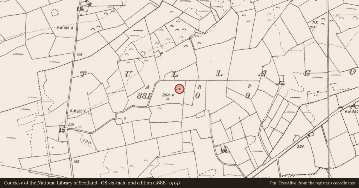 Ordnance Survey six-inch map, 2nd edition (1888–1915) covering the location of Ringfort - rath, Tullagower, County Clare, with a pin at the register's coordinates