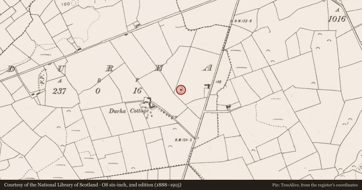Ordnance Survey six-inch map, 2nd edition (1888–1915) covering the location of Ringfort - rath, Durha, County Clare, with a pin at the register's coordinates
