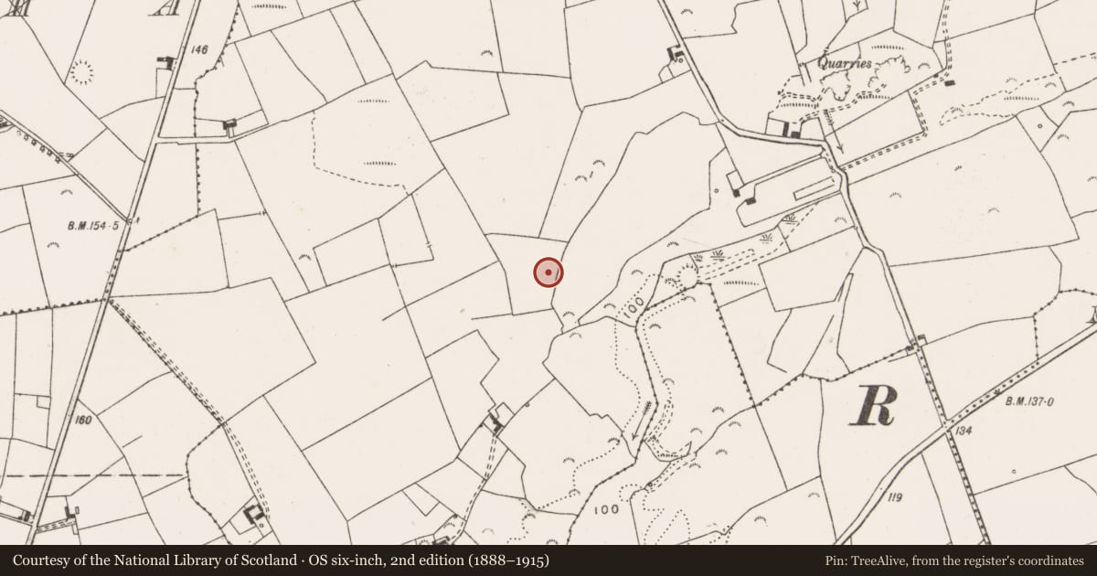 Ordnance Survey six-inch map, 2nd edition (1888–1915) covering the location of Castle - unclassified, Ballykett, County Clare, with a pin at the register's coordinates