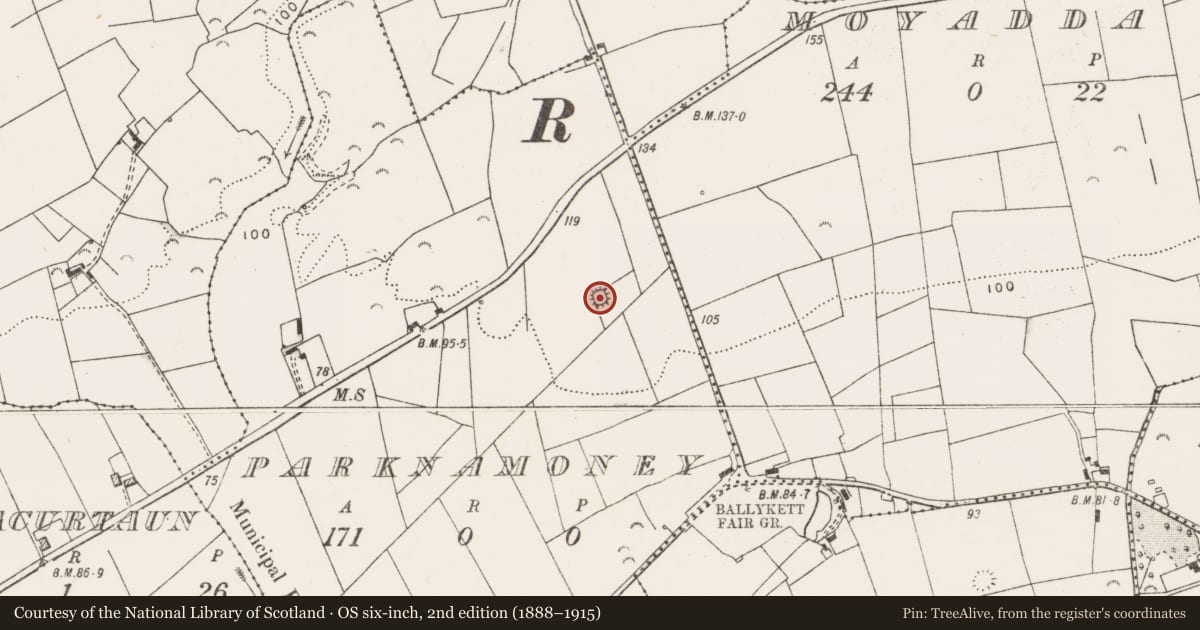 Ordnance Survey six-inch map, 2nd edition (1888–1915) covering the location of Ringfort - rath, Parknamoney, County Clare, with a pin at the register's coordinates