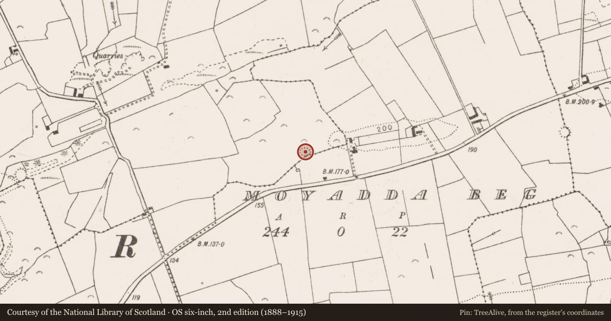 Ordnance Survey six-inch map, 2nd edition (1888–1915) covering the location of Ringfort - rath, Ballykett, County Clare, with a pin at the register's coordinates