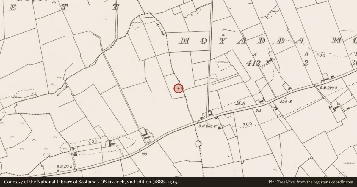 Ordnance Survey six-inch map, 2nd edition (1888–1915) covering the location of Ringfort - rath, Moyadda Beg, County Clare, with a pin at the register's coordinates
