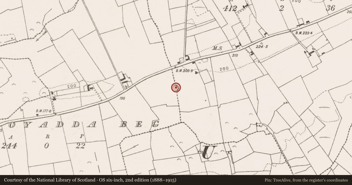 Ordnance Survey six-inch map, 2nd edition (1888–1915) covering the location of Ringfort - rath, Moyadda Beg, Moyadda More, County Clare, with a pin at the register's coordinates